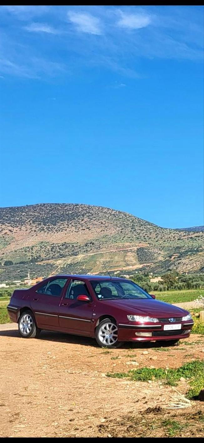 406 2L HDI 110