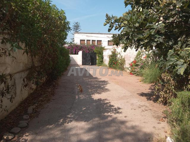 Terrain 930m à vendre à Hay Polo - Zone Villas - 2