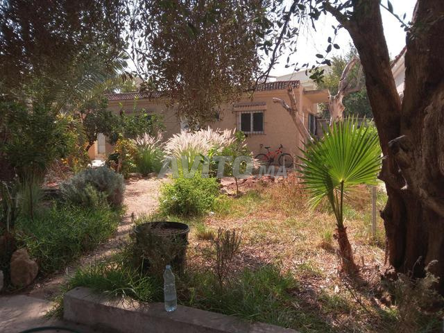 Terrain 930m à vendre à Hay Polo - Zone Villas