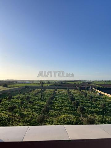 Ferme avec maison à vendre à proximité d’Azemmour