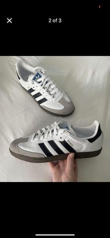 Samba Blanc - 2