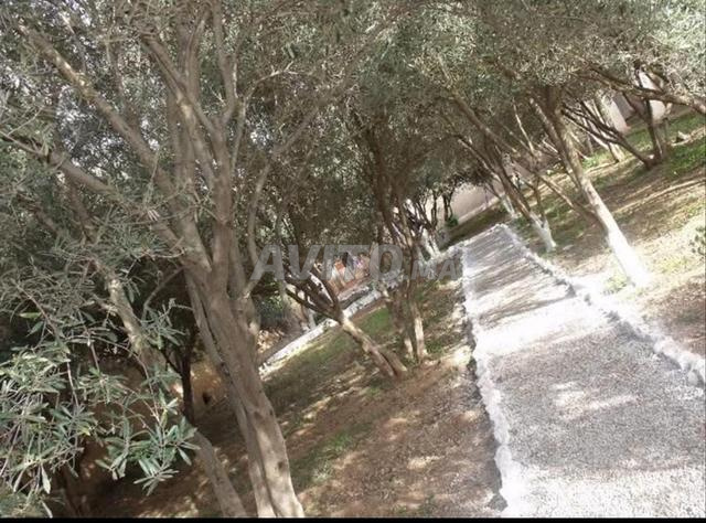 مزرعة للبيع - 2