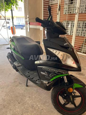 Scooter Gabelli Grido 49cc – Plaque d’immatriculation – Bon état - 2