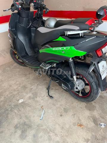 Gabelli Grido 49cc Plaqué – Marche Très Bien - 2