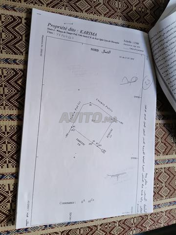 أرض محفظة للبيع - 2