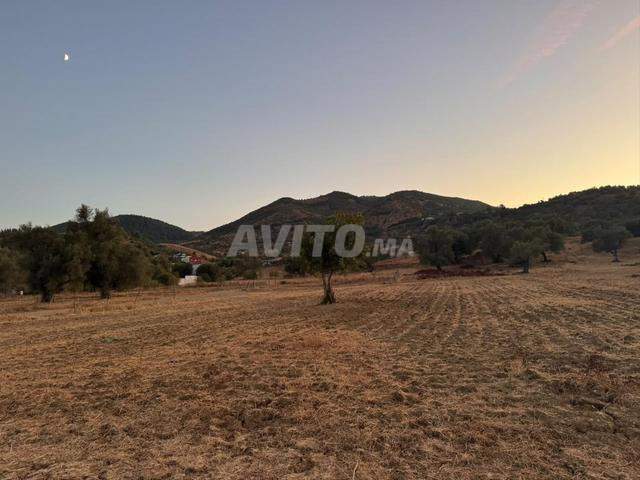 Terrain à vendre de 18 km à Ouazzane - 2