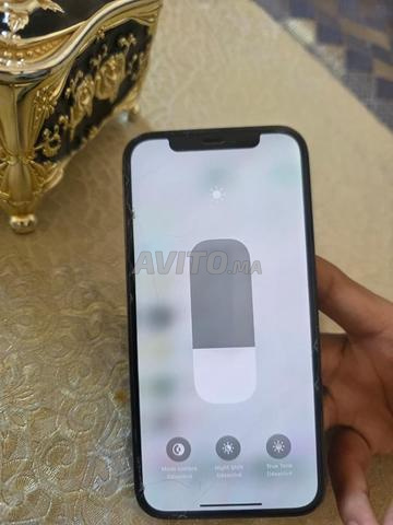 العيون الصحراء - 2