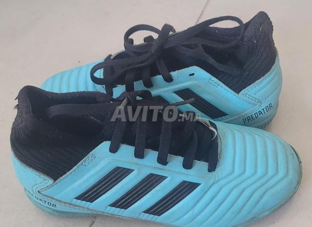 Adidas Predator 31 Chaussure de Salle Mini Foot - 2