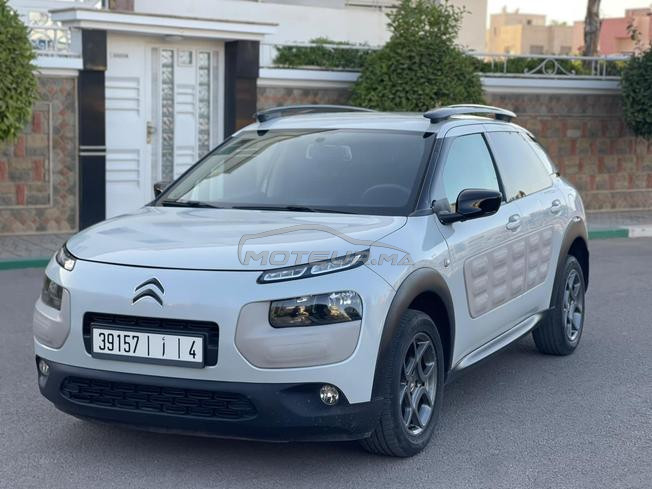 c4  cactus