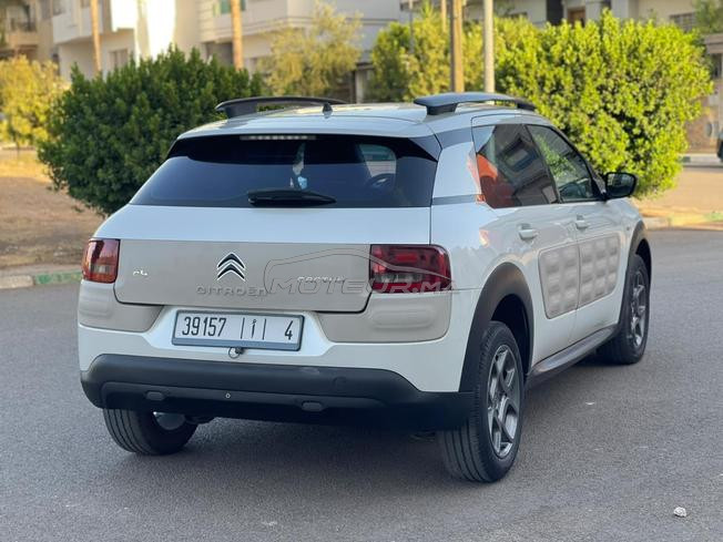c4  cactus