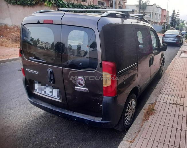 Fiorino 2017