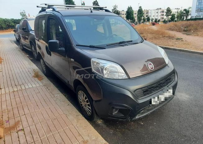 Fiorino 2017