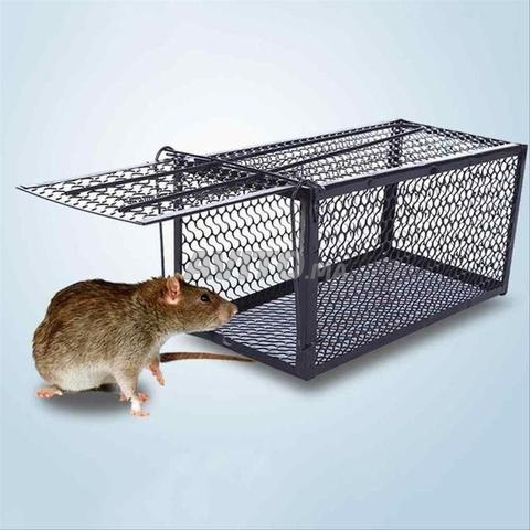 Éliminez le mal de tête des souris - 2