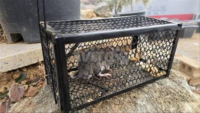 Cage à souris Dar - 2