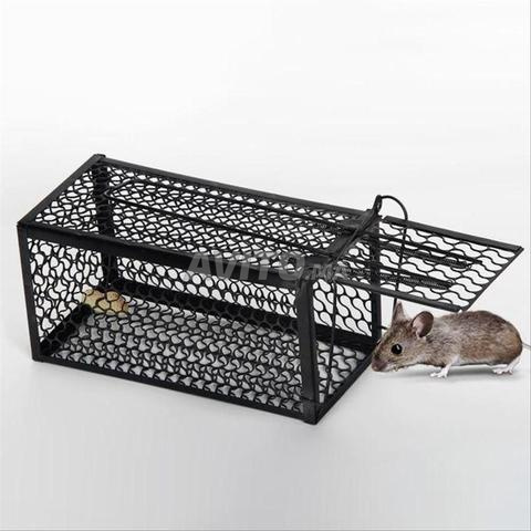 Meilleure cage à souris pour maison ou entreprise - 2