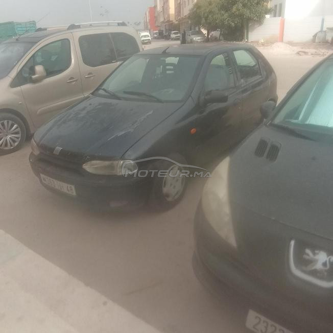 fiat palio mazot 