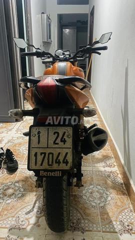 بينيلي VLX - 2