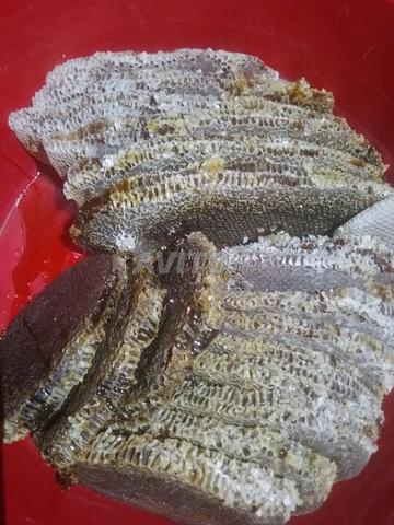 عسل الشهدة وأملو بجميع أنواعه - 2