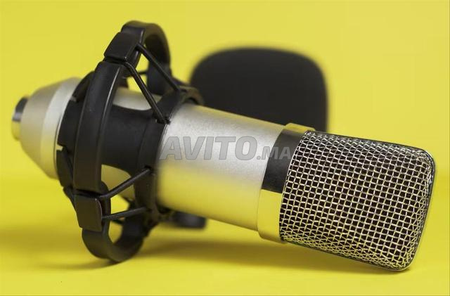 ميكروفون استوديو XLR - 2