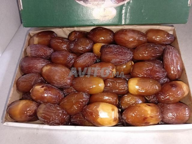 وجدة حي السي لخضر - 2
