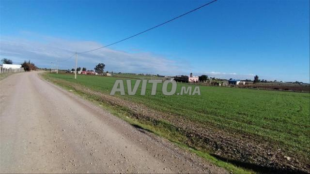 أراضٍ محفظة بير جديد للسكن والاستثمار - 2