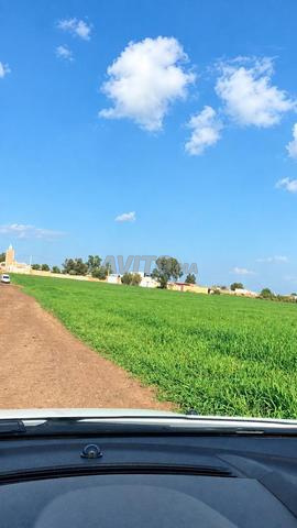 Terrain Agricole de 2 ha à Grana Oulad Said Settat