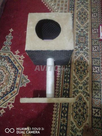 بيت للقطط عالي الجودة - 2