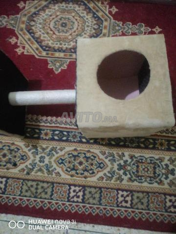 Maison pour chats de haute qualité - 2