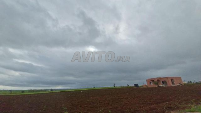 Terrain agricole et maison neuve de 90 m² à vendre - 2