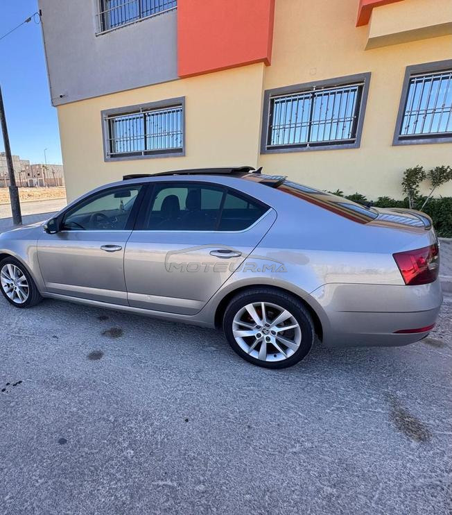 octavia edition special 3amra   