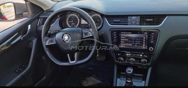 octavia edition special 3amra   