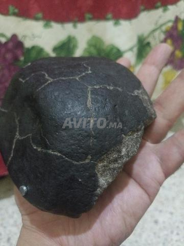 جميلة وسوداء - 2