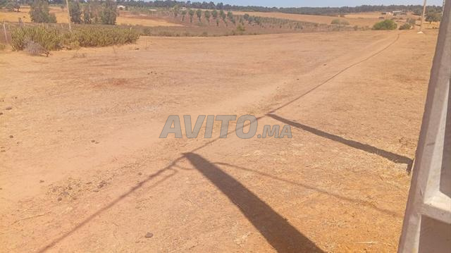 Terrain titre 15000m2 Sehoul Salé - 2