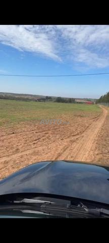 Terrain agricole 35000m2 Boukhalhal Tiflet - 2