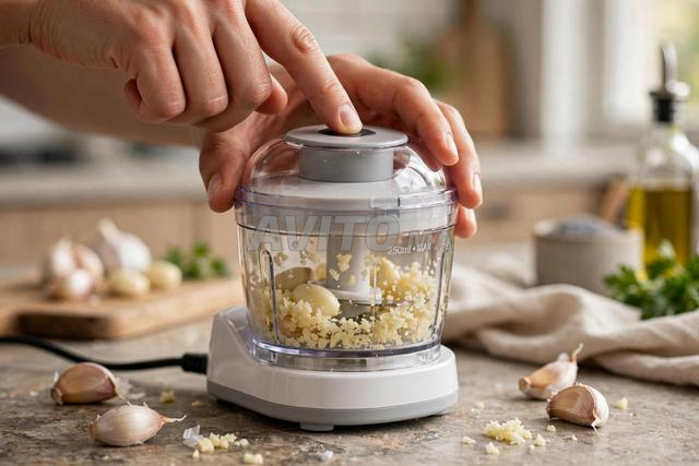 Mini hachoir à ail électrique 250ml rechargeable - Authentique - 2