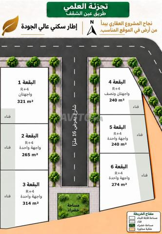 Terrains à bâtir (R+4) - Lotissement El Alami, Route Ain Chkef