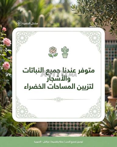 أسعار مناسبة - 2