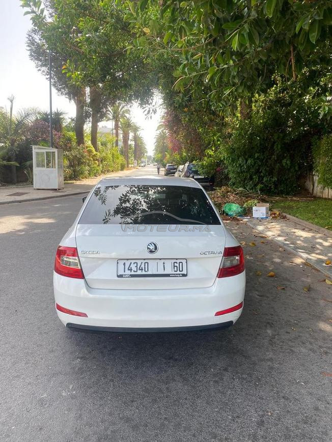 Skoda oktavia