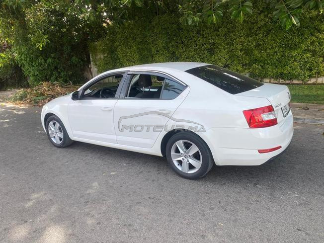 Skoda oktavia