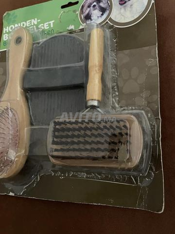 Accessoires pour animaux - 2