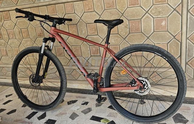 دراجة جبلية Orbea Onna 40 مقاس L - 2