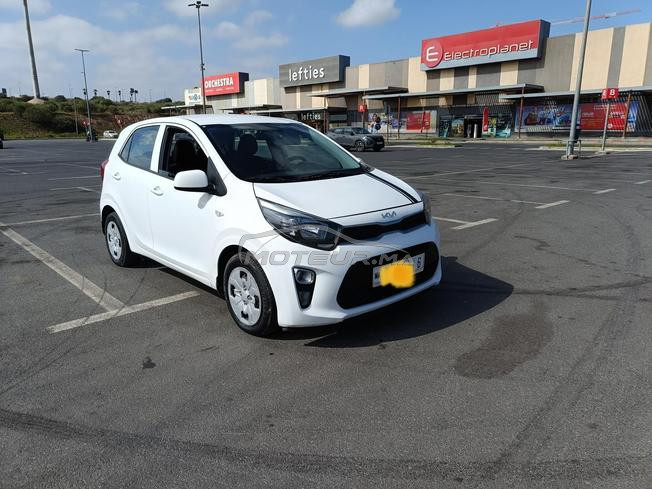 Picanto automatique 