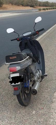 دوكر c50 - 2