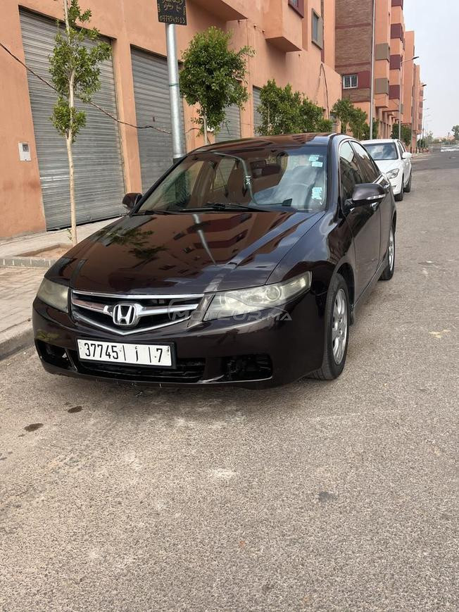 honda acourd 
