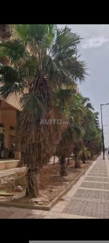 شقة جميلة جداً - 2