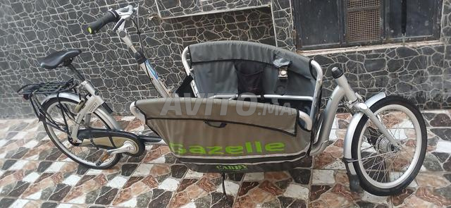 Vélo pour petite affaire - 2