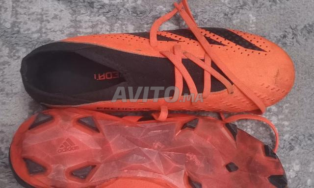 Adidas Predator neuves - 2