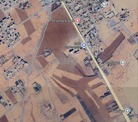 Terrain de 2 hectares à vendre près de Beni Drar - 2