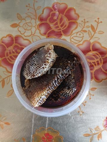 خير بلادي ديل جبل - 2