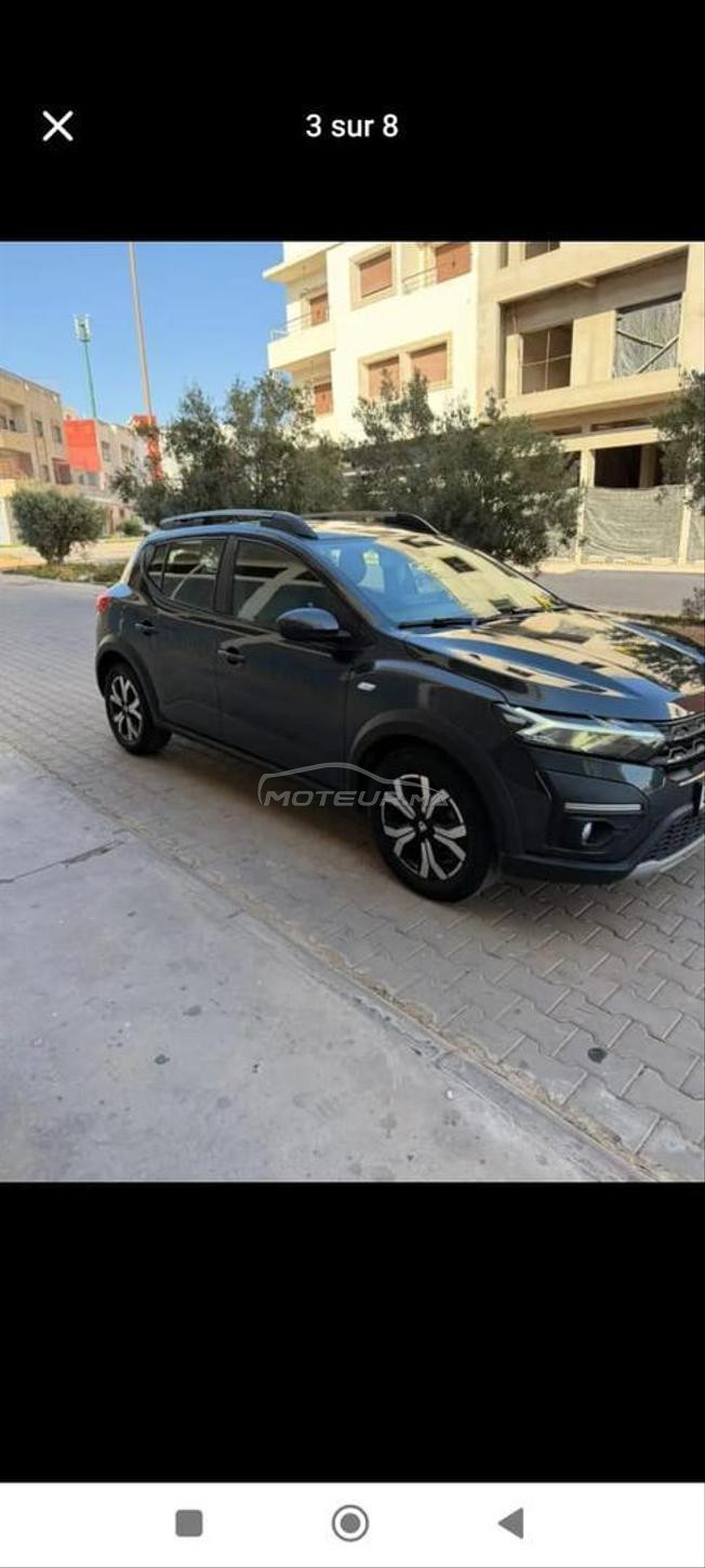 Stewpaw Dacia